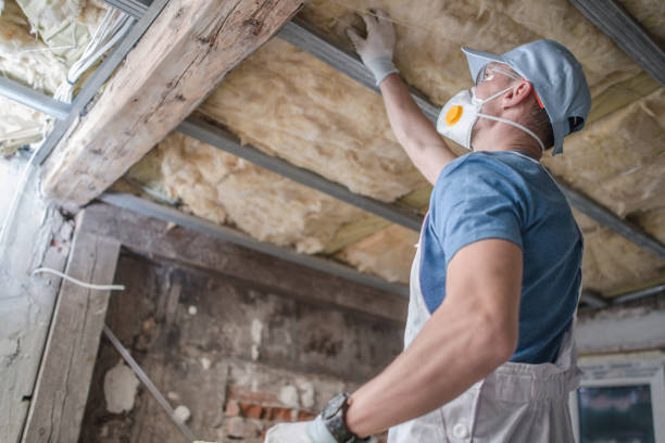 Best Commercial Insulation in Hideaway, TX